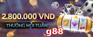 hong88