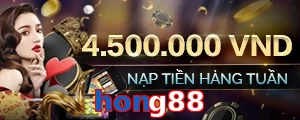 hong88