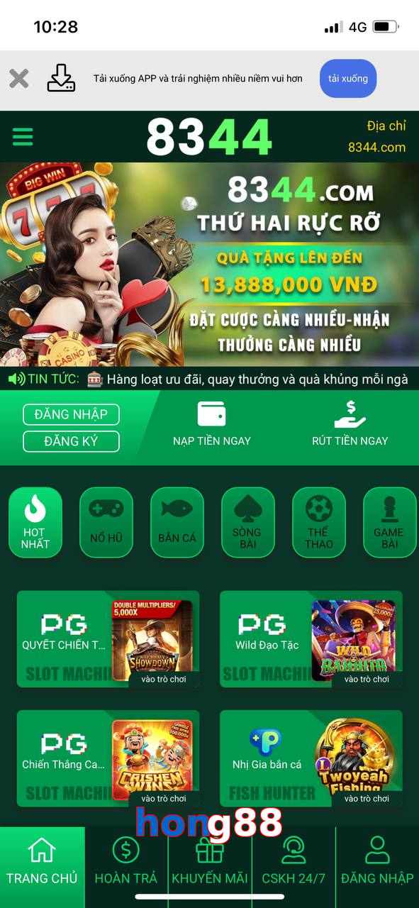 hong88